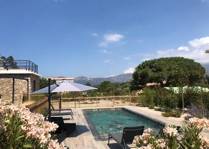 Celestine Villa Calvi (Corsica)